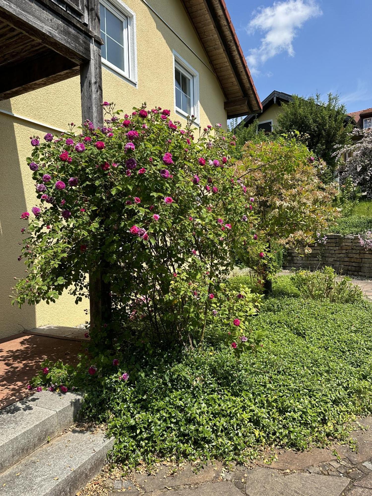 Meywohnen Bad Endorf Apartment Екстериор снимка